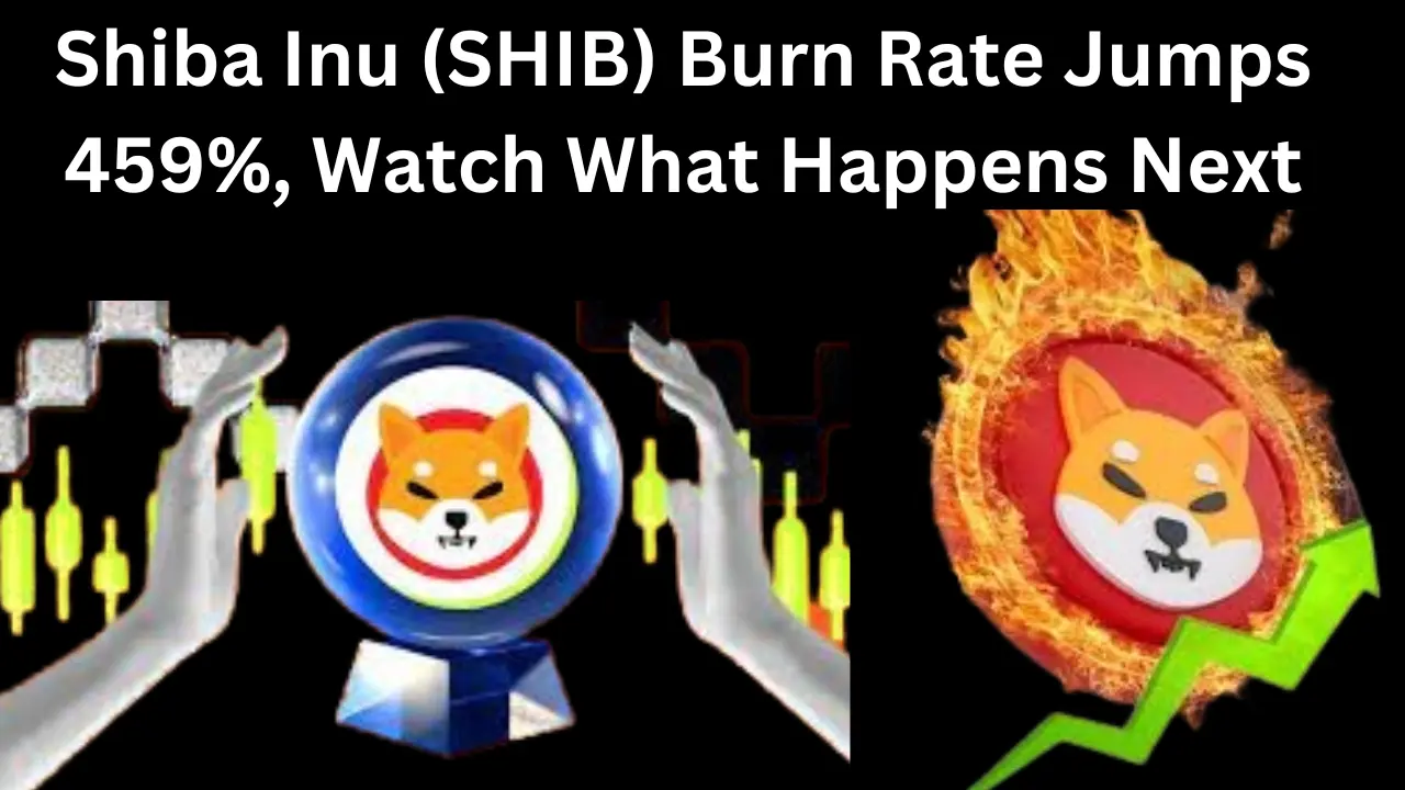 Shiba Inu (SHIB) Burn Rate Jumps 459%, Watch What Happens Next